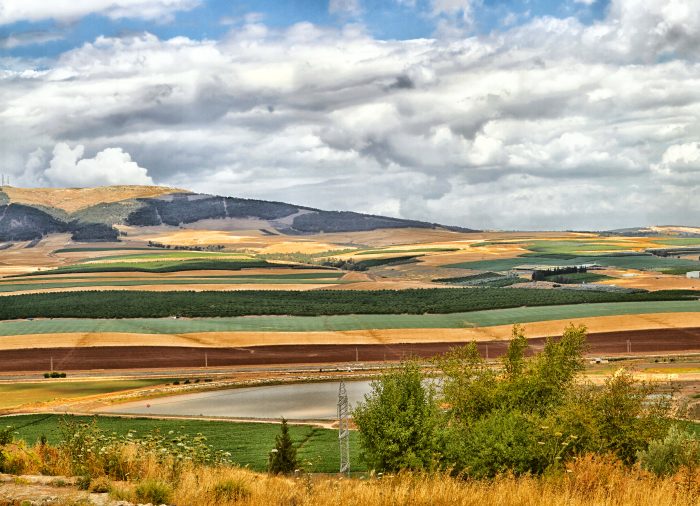 בחזרה לצפון בהמון אהבה: מגשר הישנה לגולן המופלא