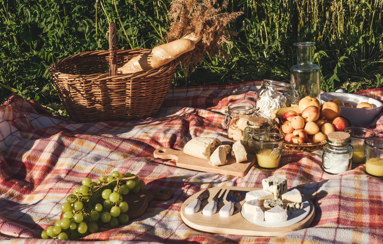 מחלבות שוות בדרכים