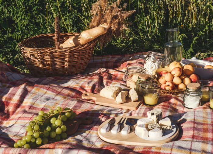 מחלבות שוות בדרכים